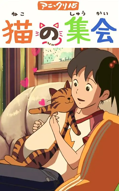 一区二区视频免费看