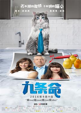 久久99热精品免费观看无卡顿