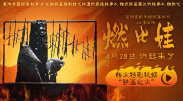 呦系列视频一区二区三区