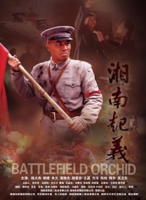 新面孔
