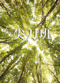 浪漫小姨妈
