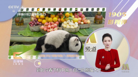 人人狠狠综合88综合久久